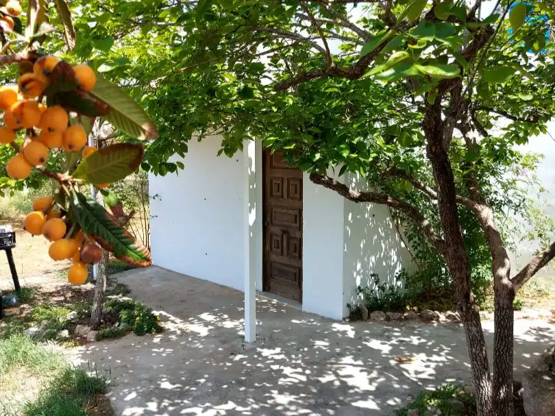 Garden of Land for sale in Sant Antoni de Portmany