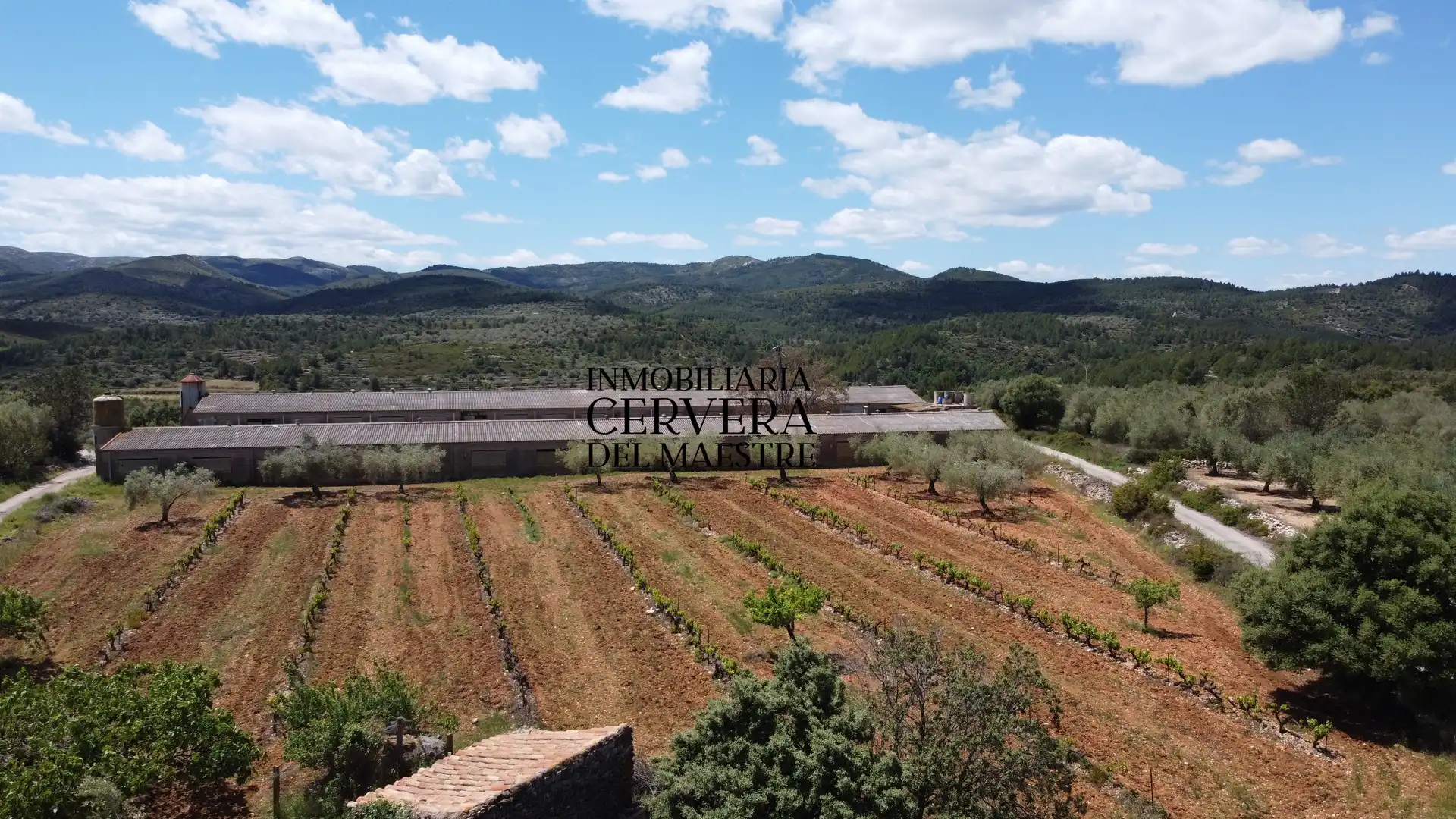 Terreno rustico in vendita a Cervera del Maestre, imagen 8