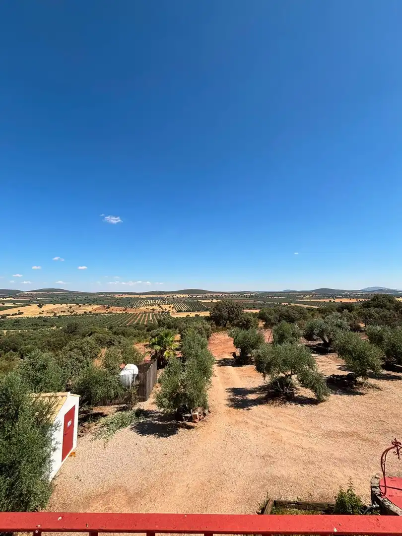 Casa amb jardí en venda a Torre de Juan Abad, imagen 55