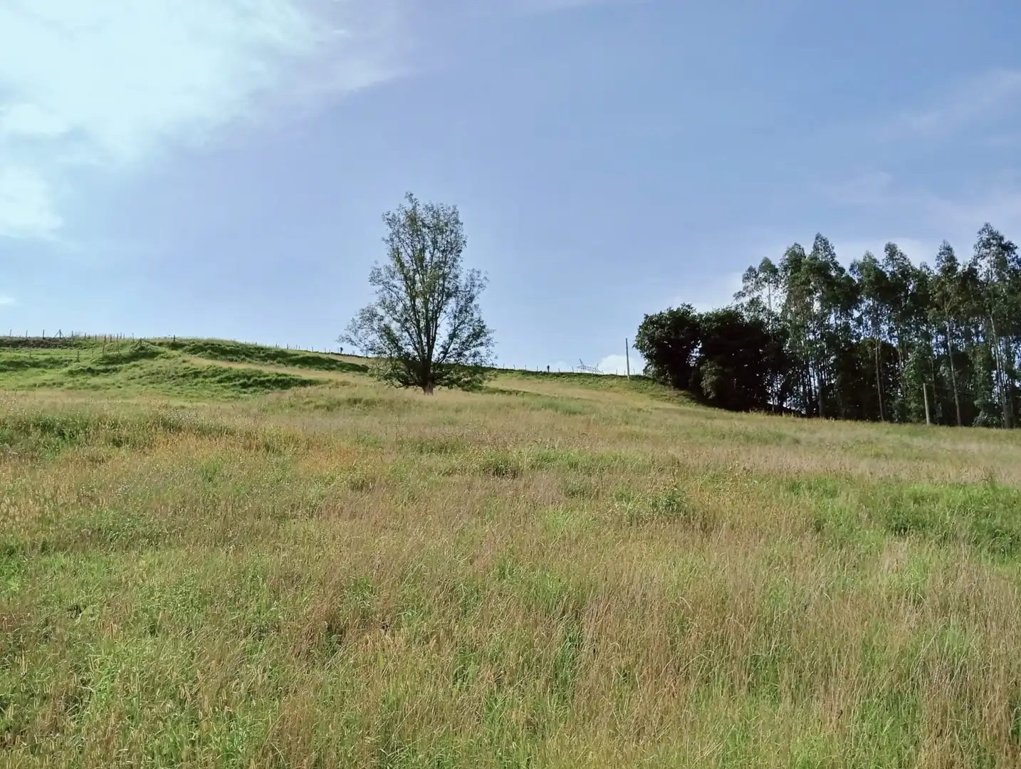 Grundstücke zum Verkauf in Rasillo - BO VILLAFUFRE, Villafufre