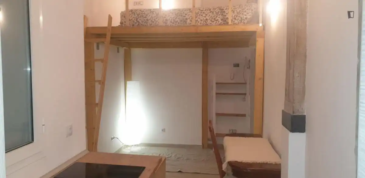 Estudio en alquiler en Centro, imagen 13