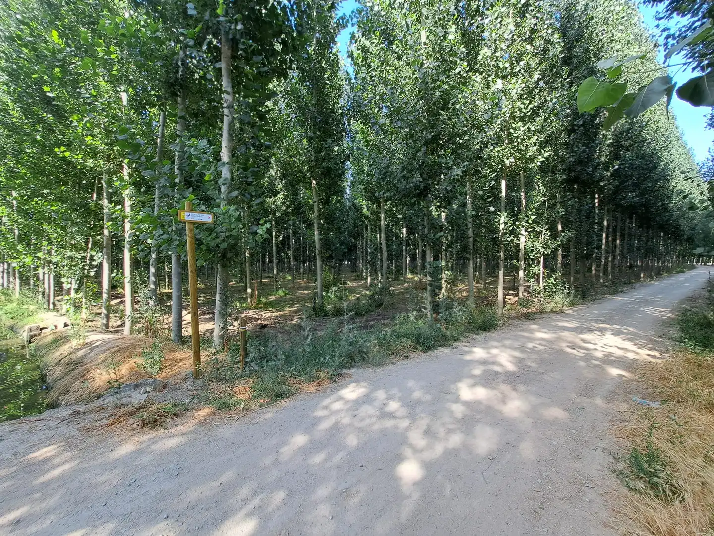 Land for sale in Fuente Vaqueros