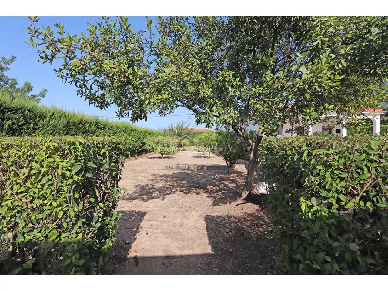Villa avec piscine à vendre à Calle Paridera, imagen 22