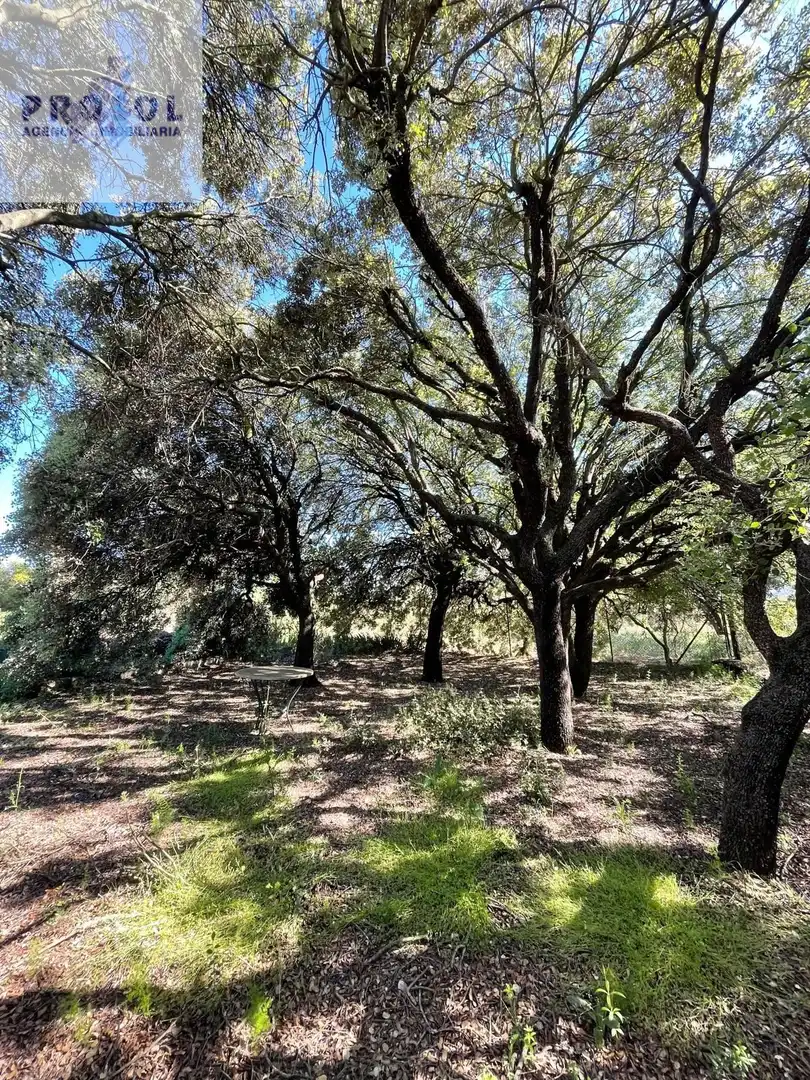 Finca rústica en venta en Vilafamés