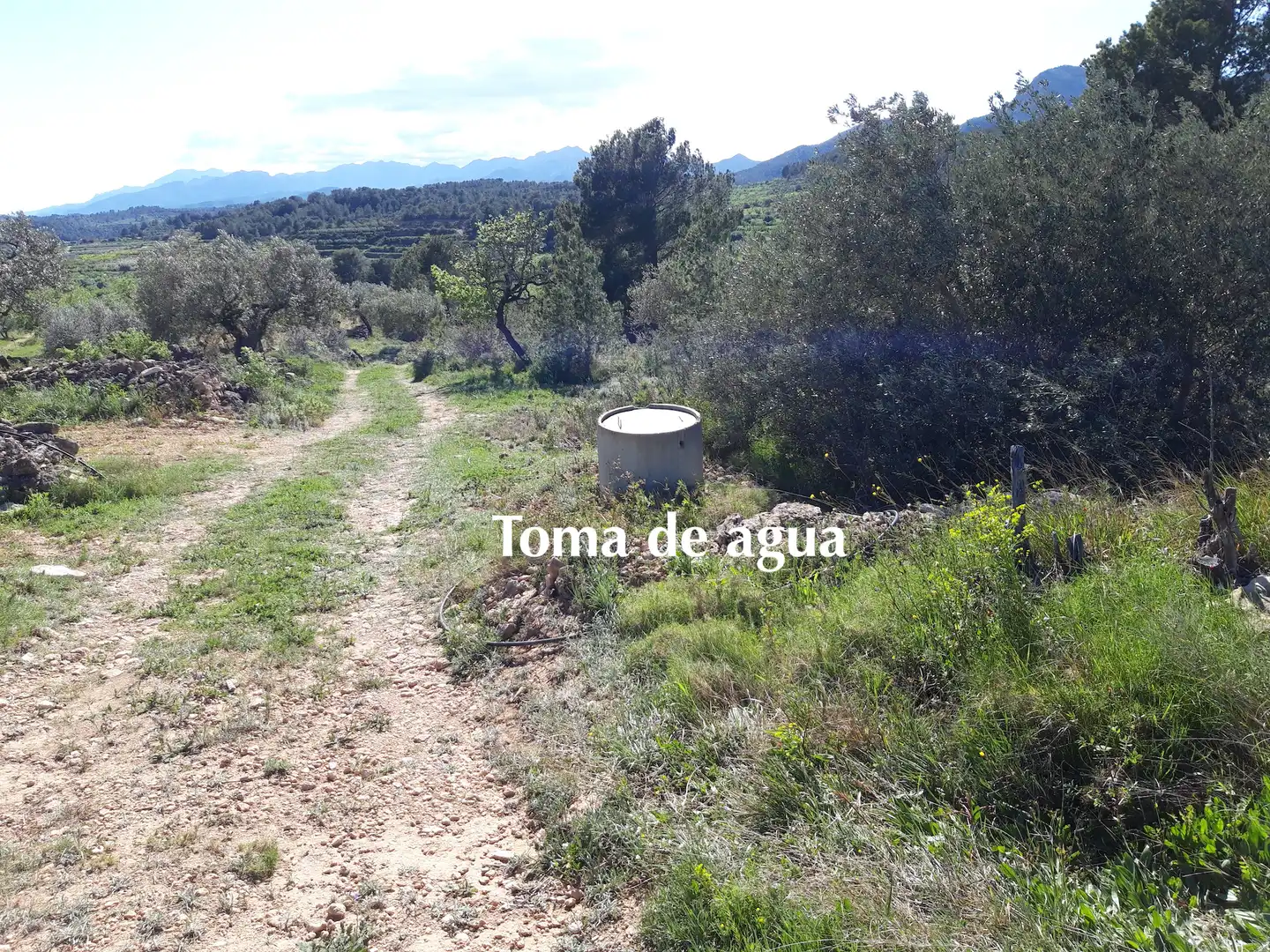Rural land for sale in C-43, imagen 12
