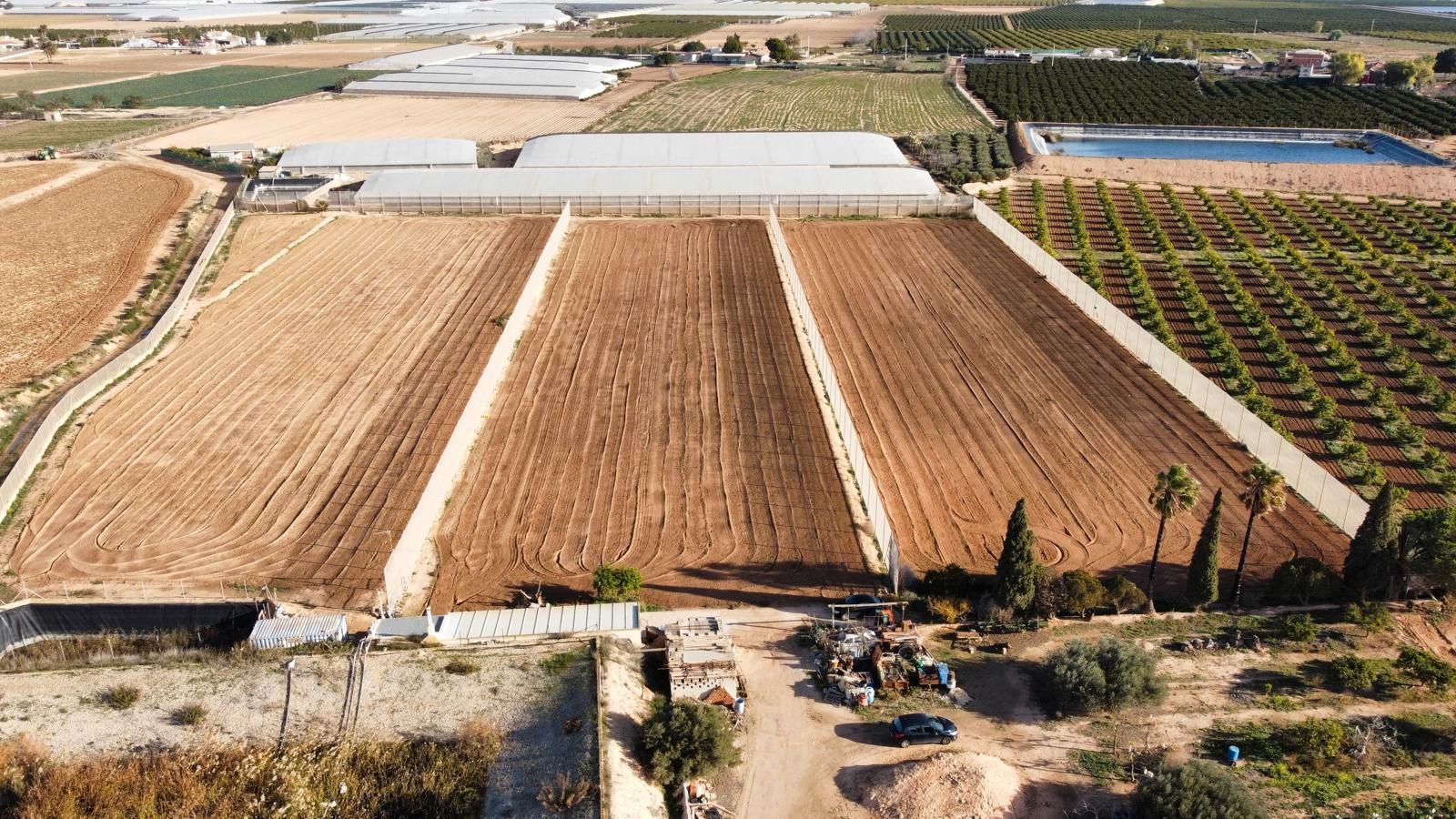 Land for sale in Torre-Pacheco