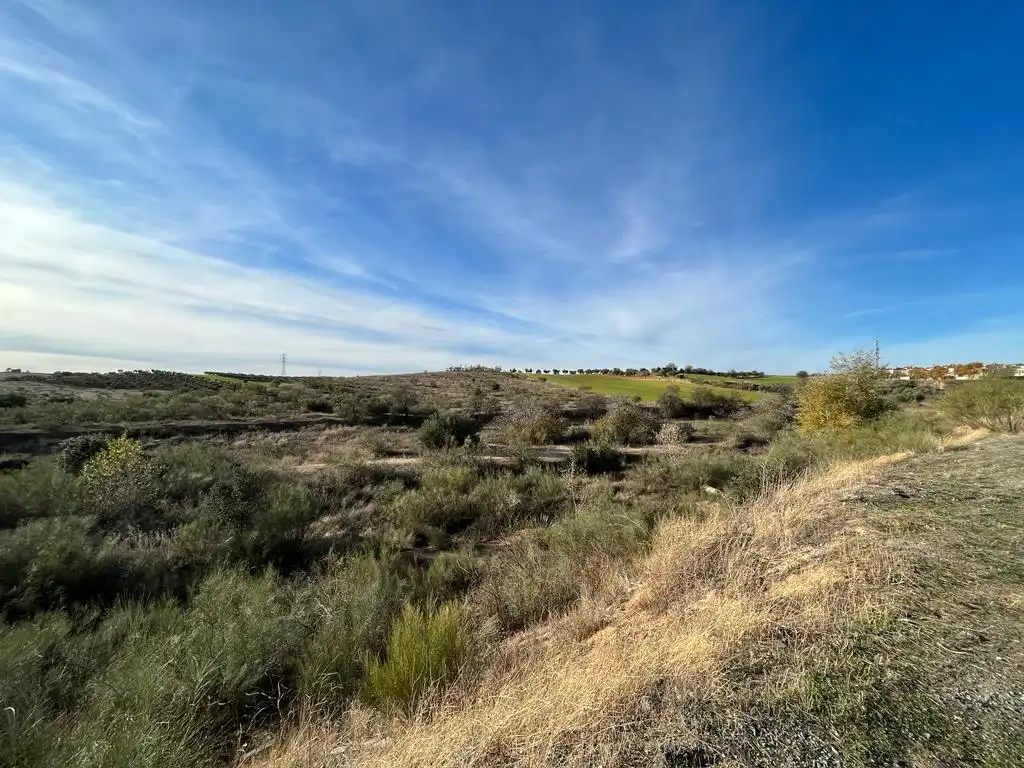 Terrain résidentiel à vendre à Polígono 11 Parcela 126 LOS BARRILLOS., imagen 2