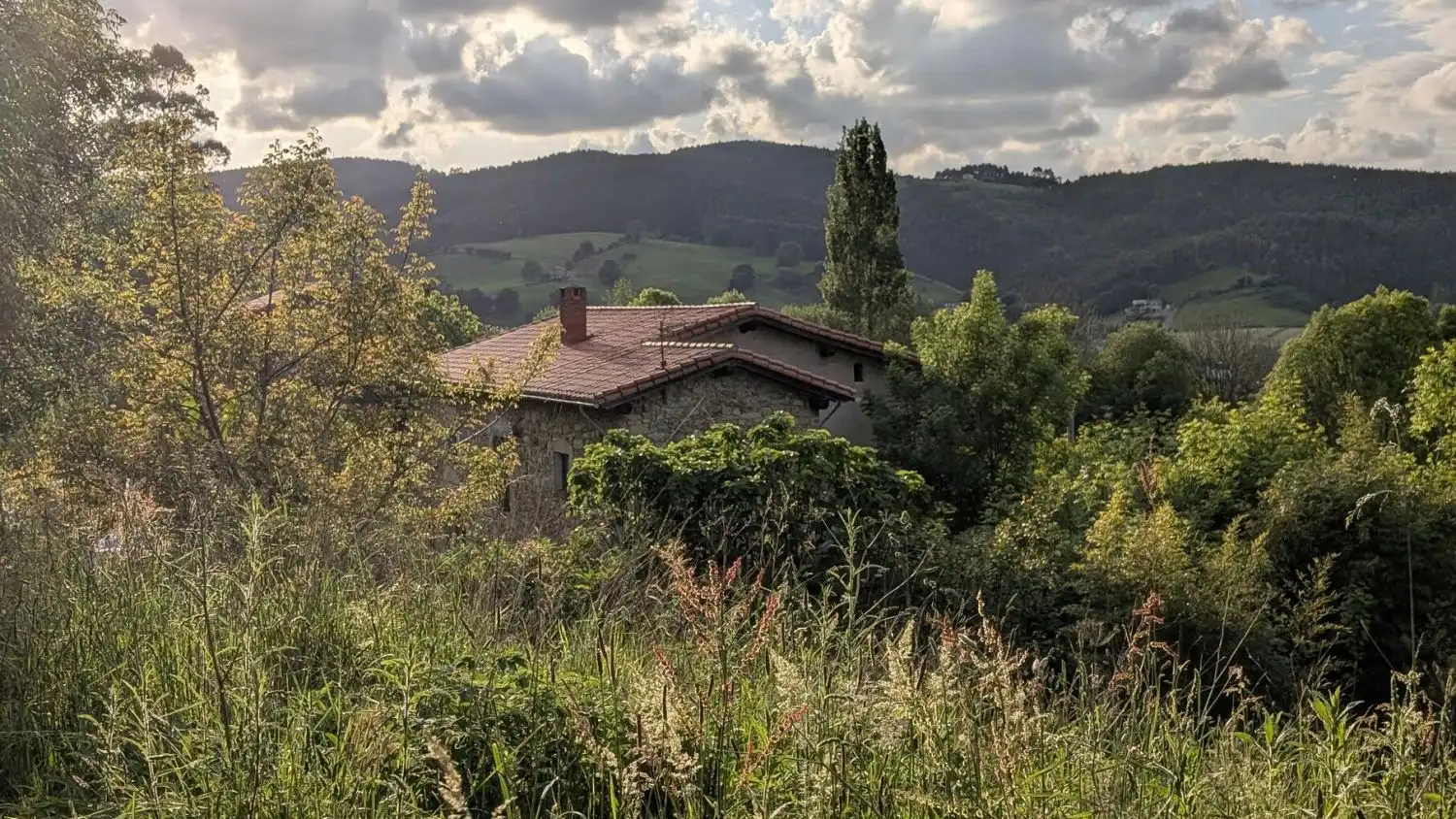 House with terrace for sale in MIES DEL CUETO 604, imagen 40
