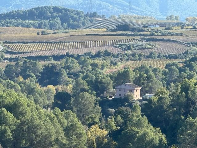 Casa o xalet en venda en Sant Llorenç d'Hortons amb Calefacció i Jardí privat