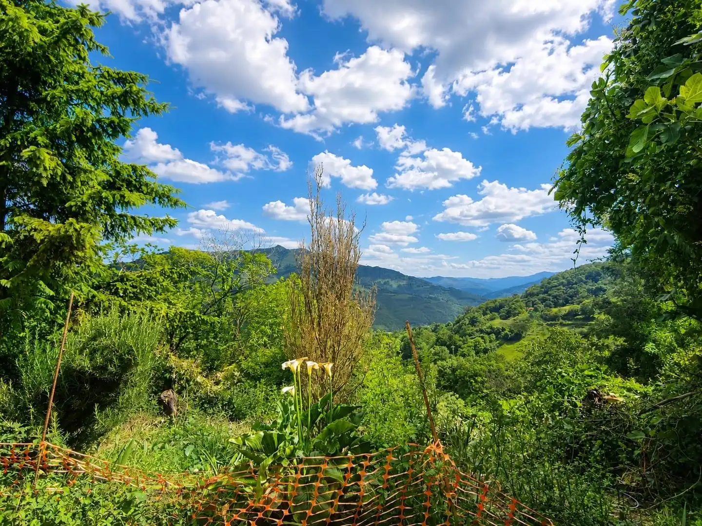 Jardí de Casa o xalet en venda en Lena