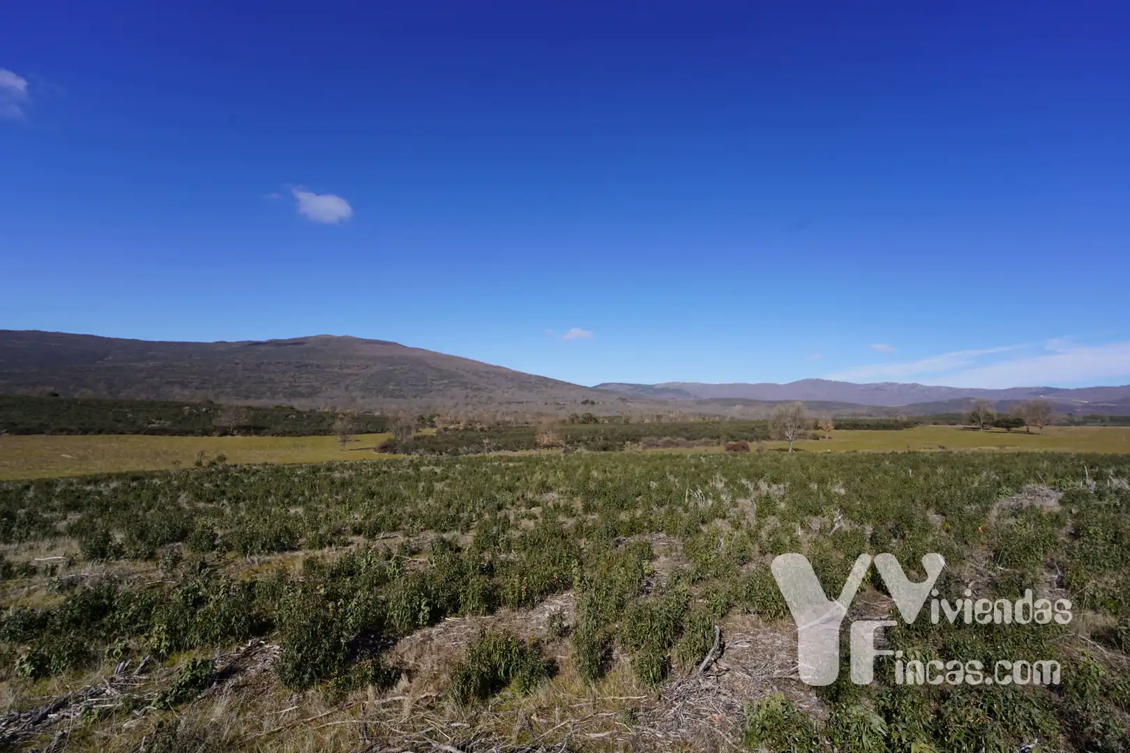 Terreno rústico en venta en Campillo de Ranas, imagen 13