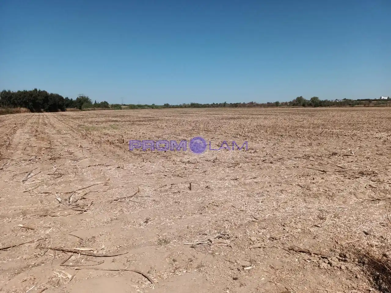 Lands and plots for sale in carretera, imagen 2
