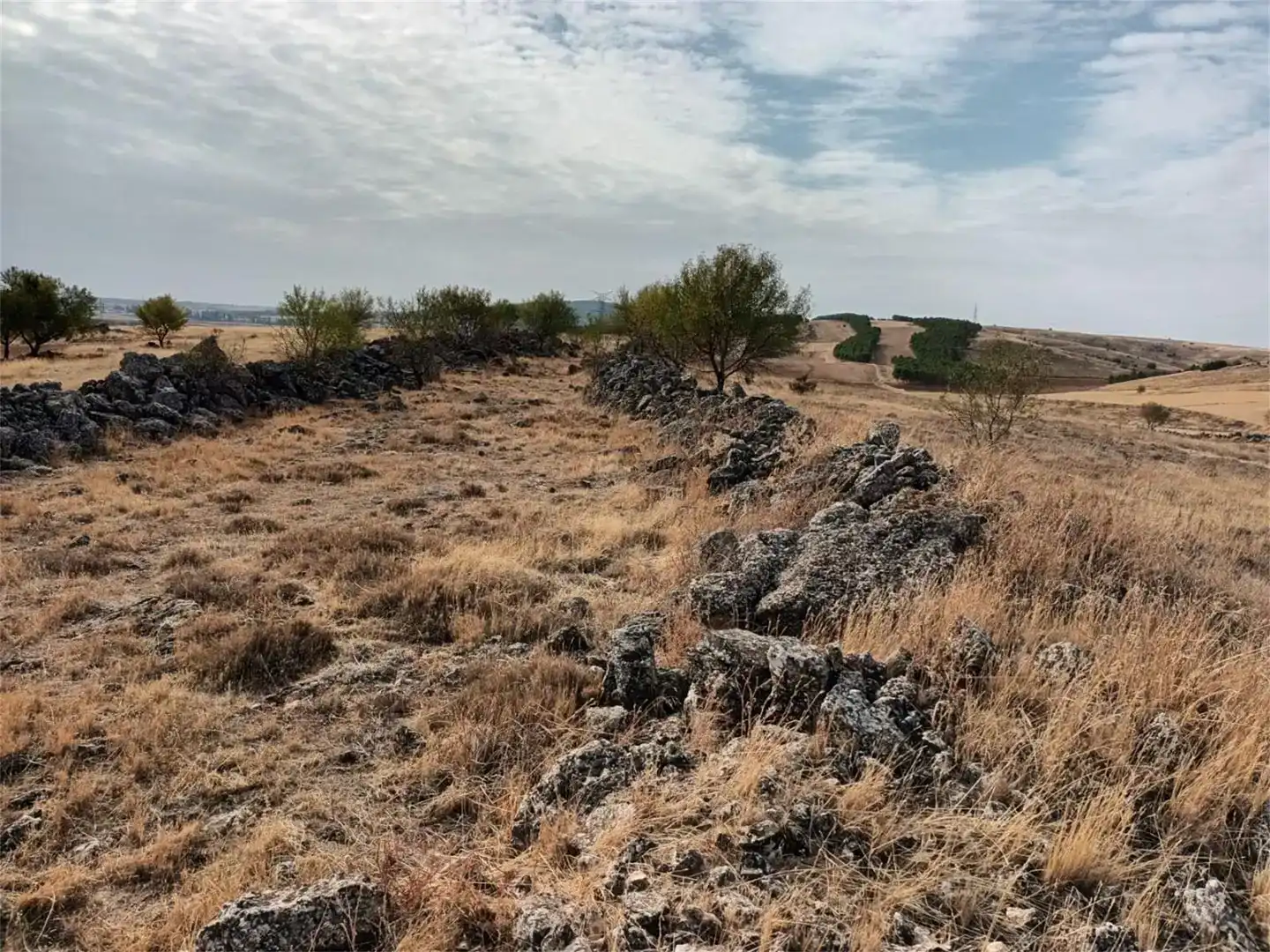 Terreno en venta en Uclés