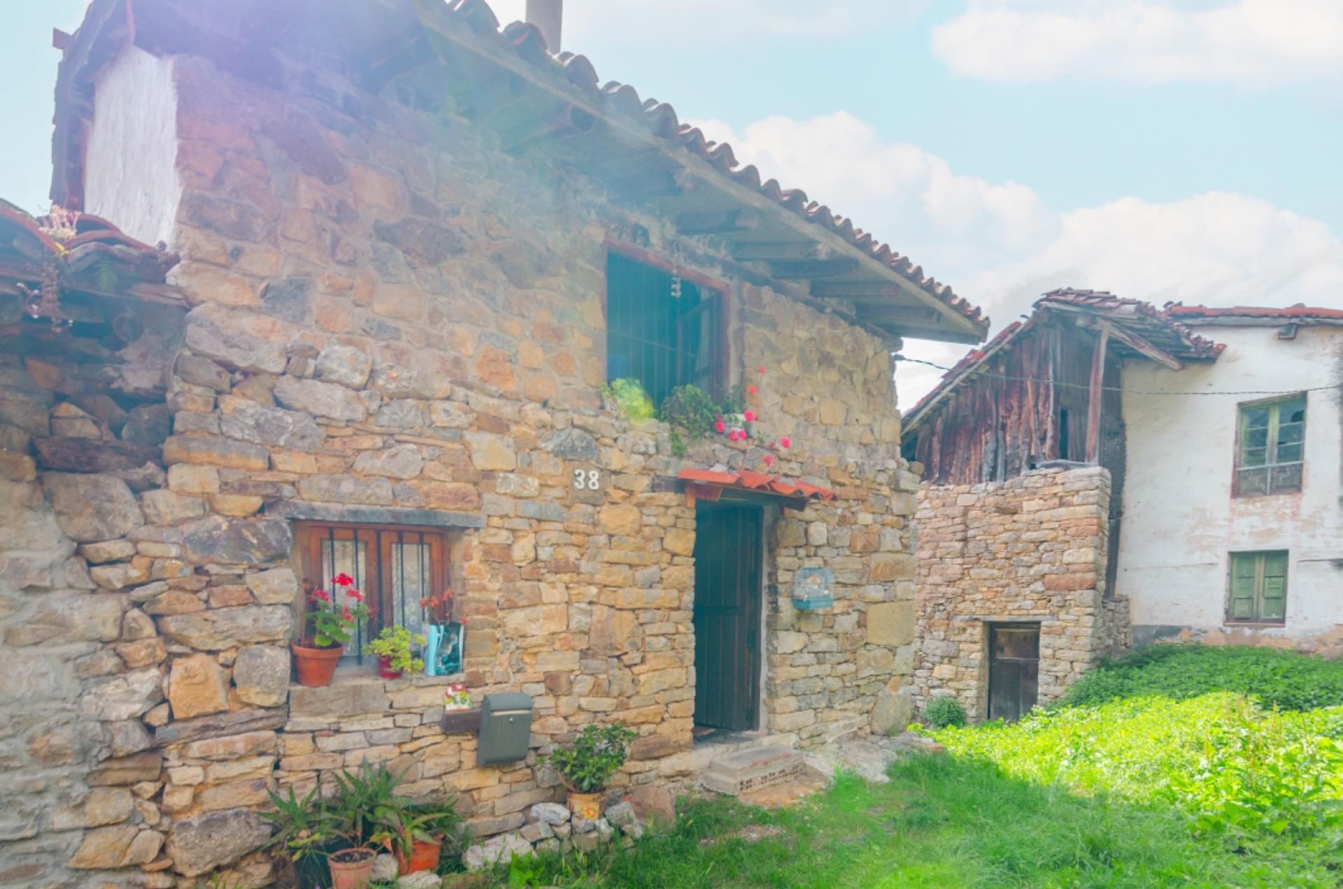 Exterior view of House or chalet for sale in Proaza