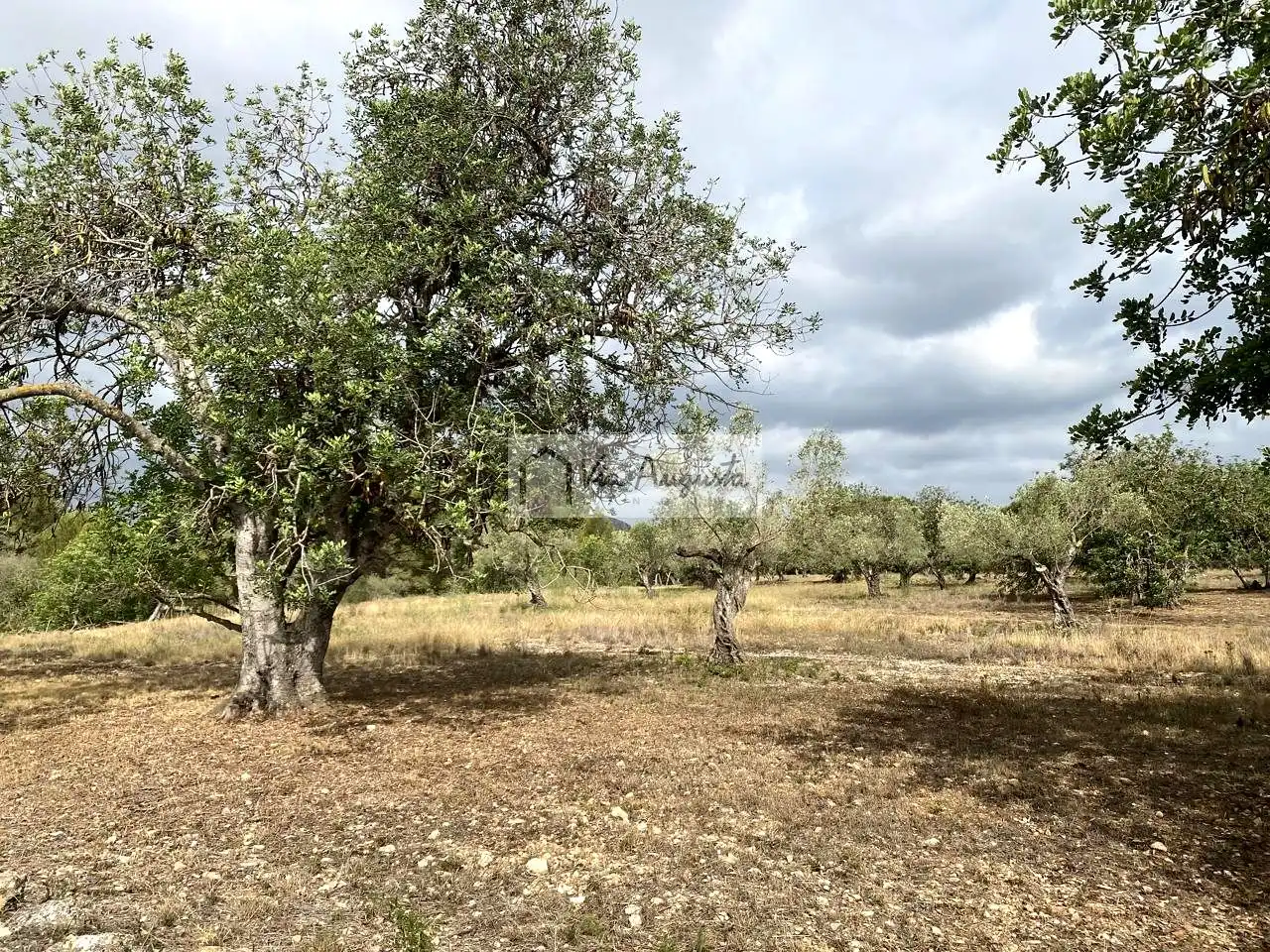 Terreno rustico in vendita a Mas de Baralluga, imagen 12