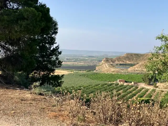 Terreni e lotti in vendita a Fraga, imagen 9