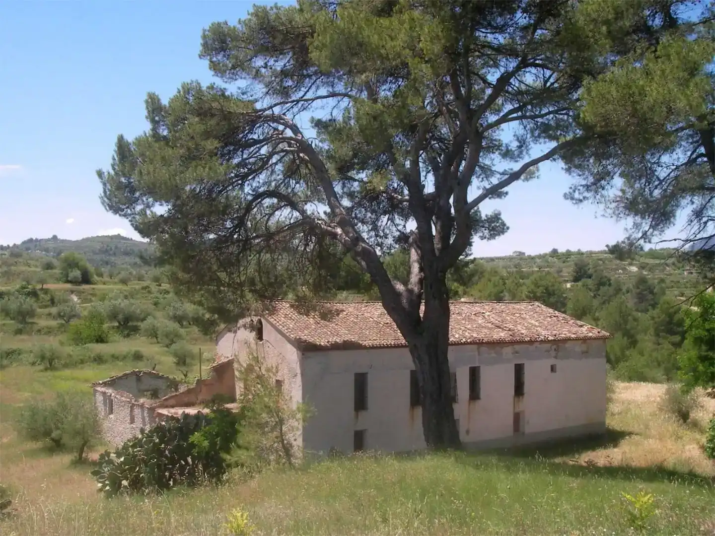 Exterior view of Land for sale in Planes