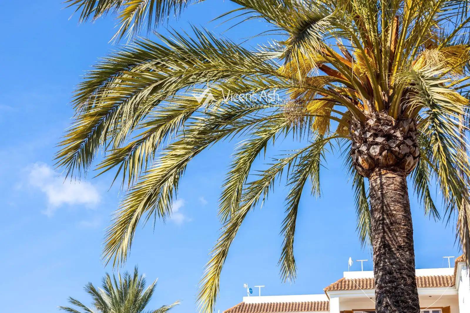 Außenansicht von Wohnungen zum Verkauf in Jávea / Xàbia mit Klimaanlage, Terrasse und Schwimmbad