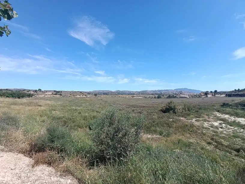 Lands and plots for sale in Mula, imagen 9
