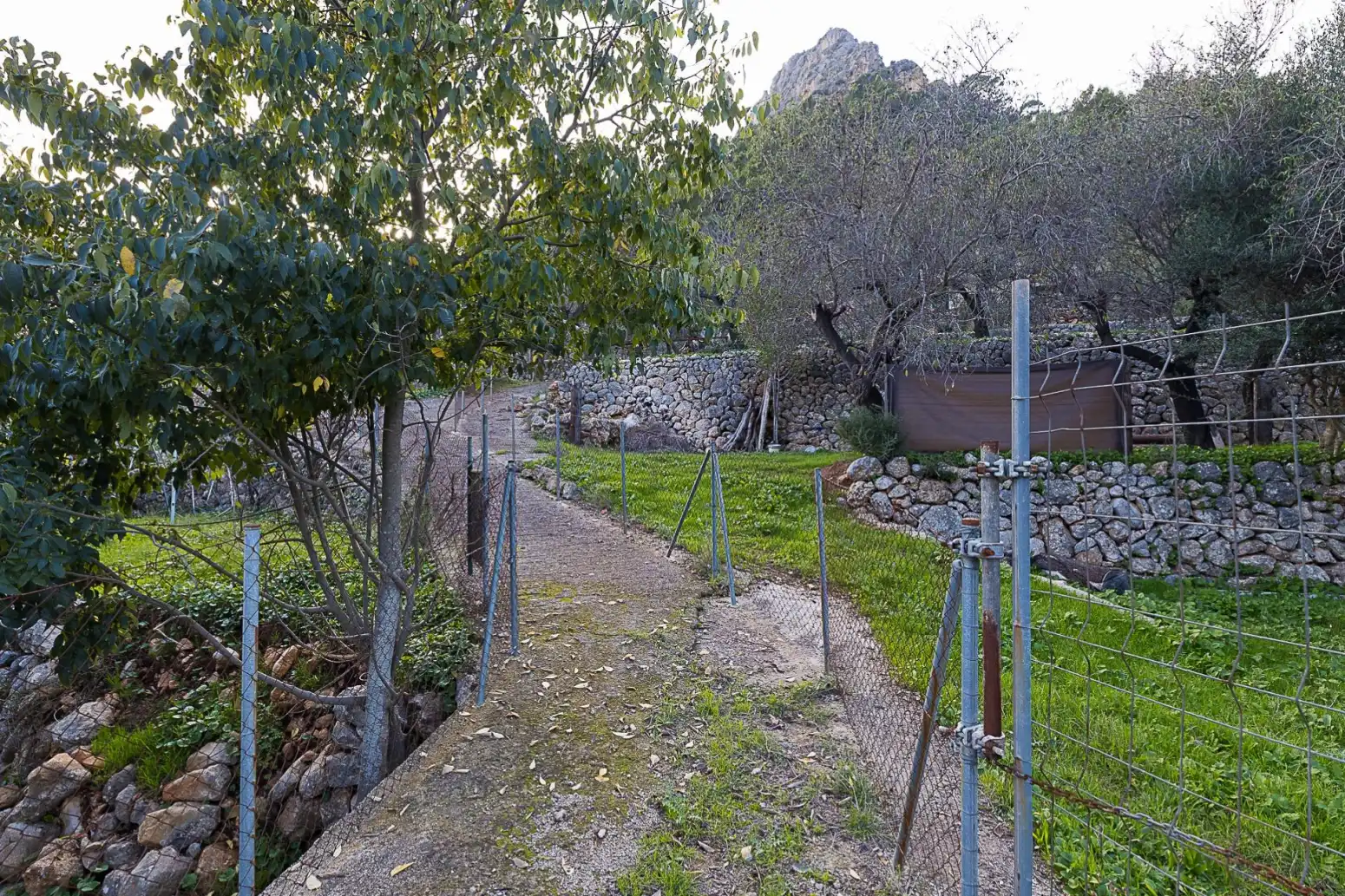 Jardí de Casa o xalet en venda en Bunyola amb Terrassa