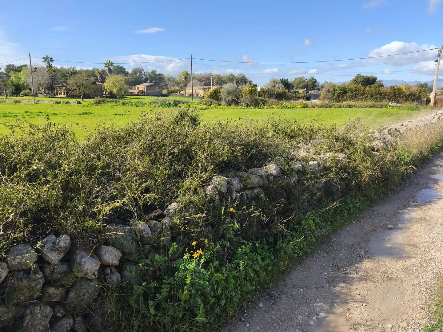 Terreno rustico in vendita a Lloret de Vistalegre, imagen 12