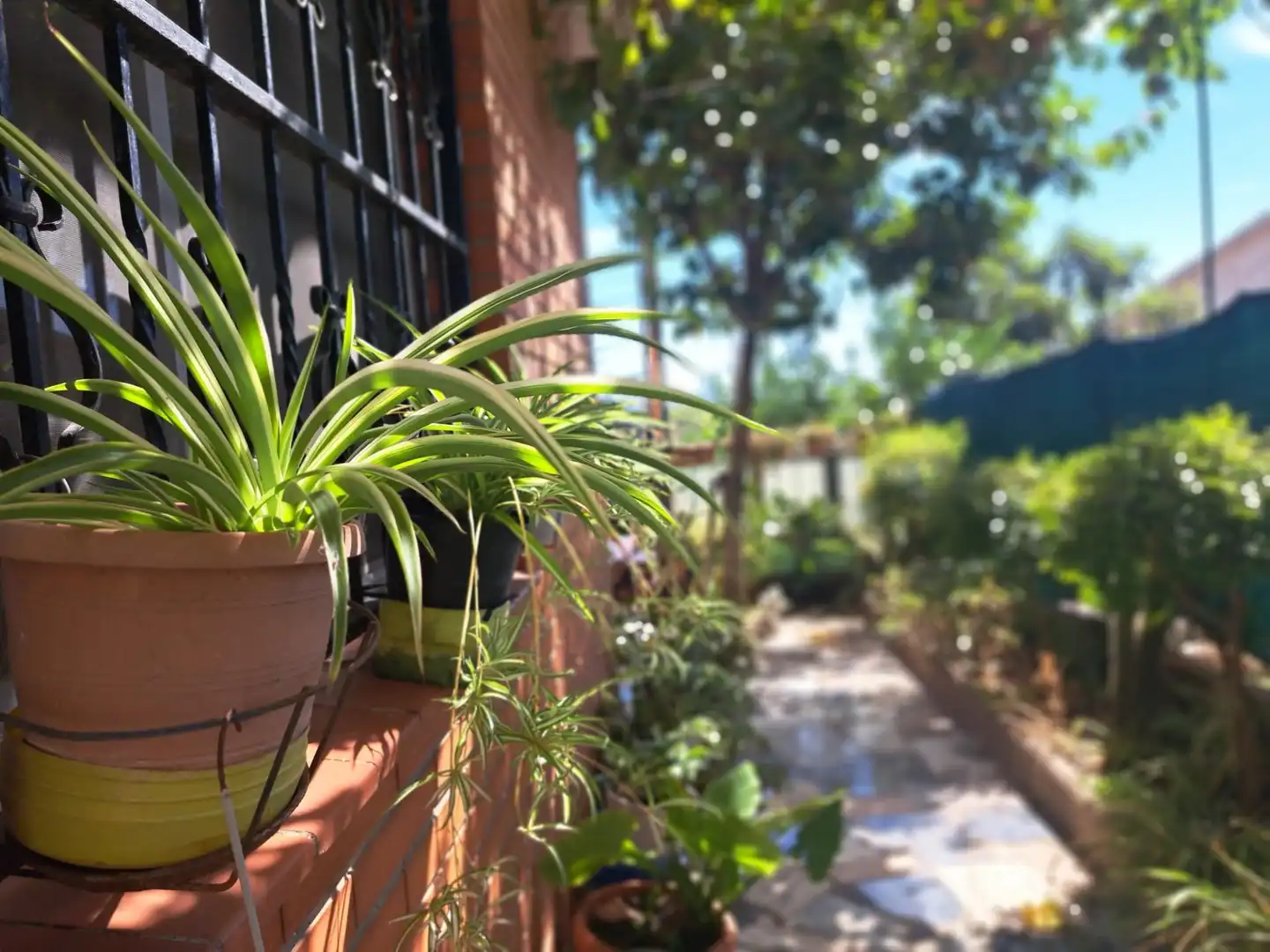 Casa amb terrassa en venda a Castellbisbal, imagen 13
