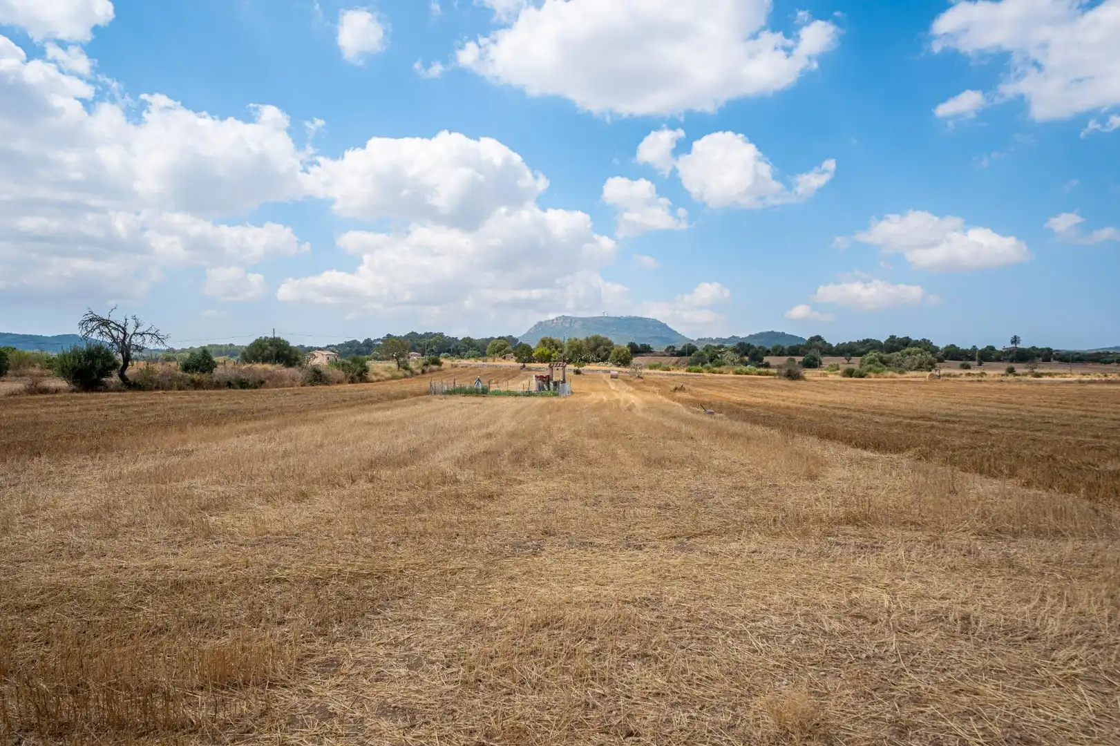 Finca rústica en venda en Algaida amb Jardí privat, Terrassa i Alarma