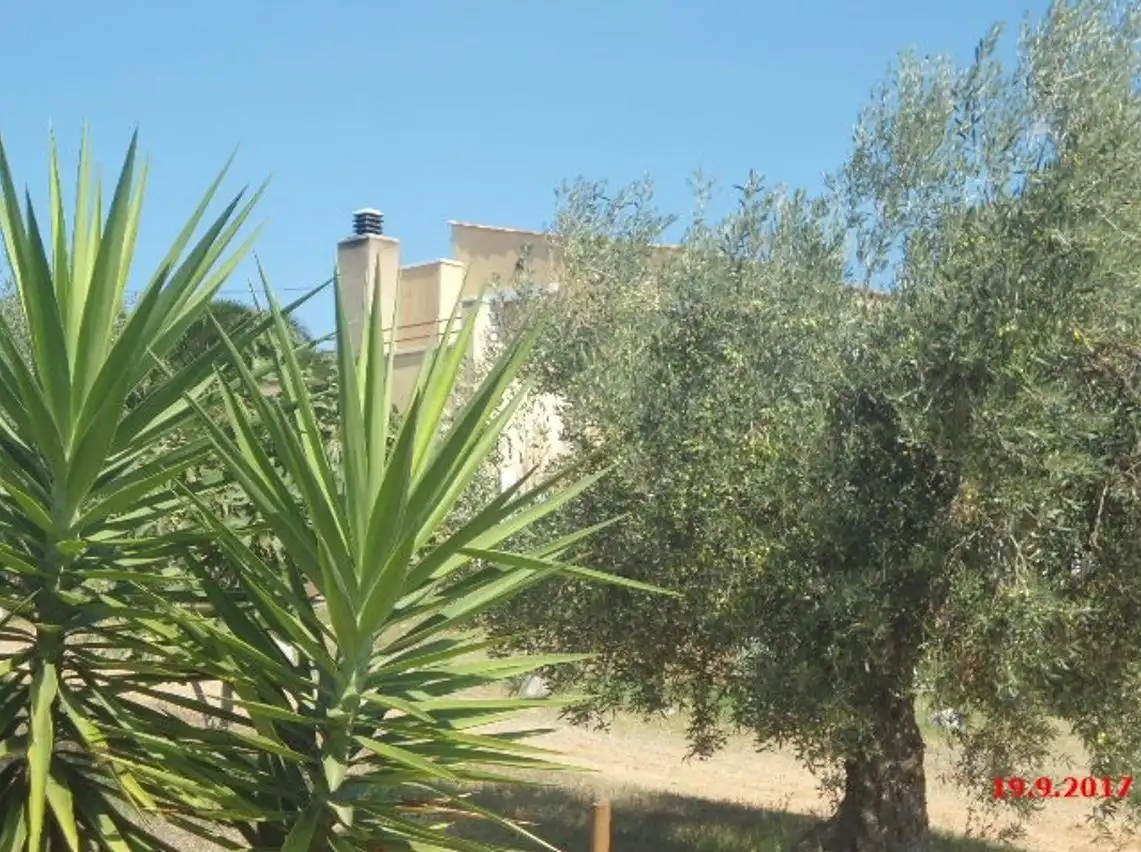 Casa o chalet en venta en Riudecanyes con Jardín privado