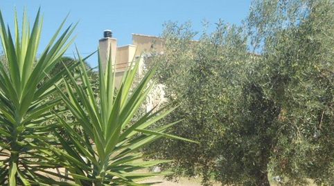 Foto 2 de Casa o chalet en venta en Partida Segures, 7, Riudecanyes, Tarragona