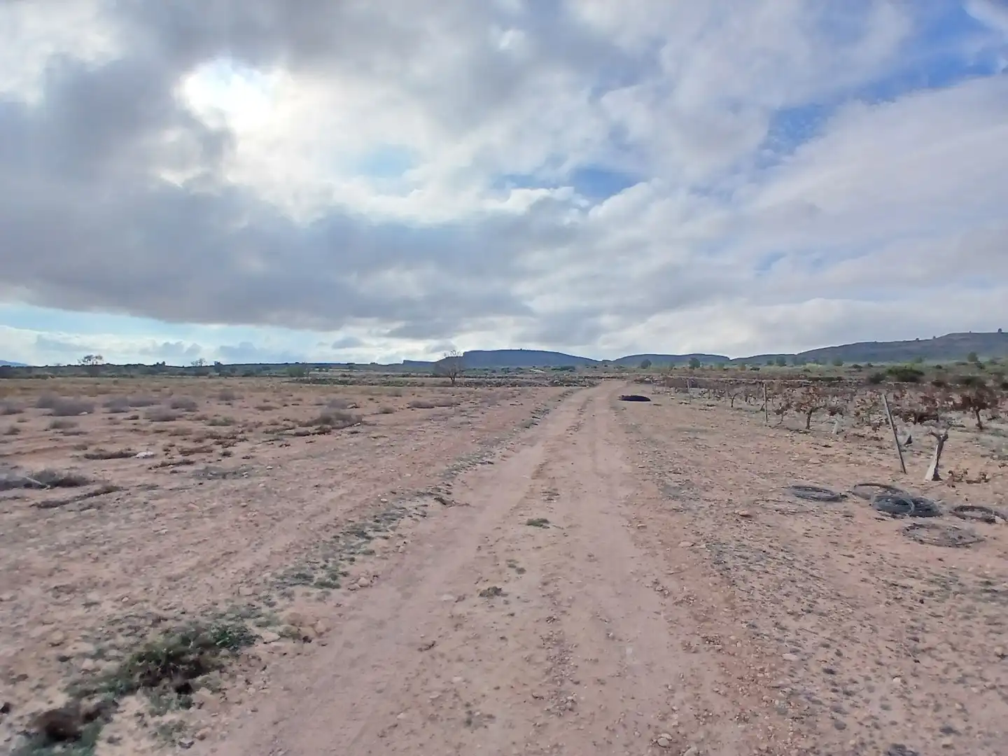 Residential land for sale in Yecla, imagen 17