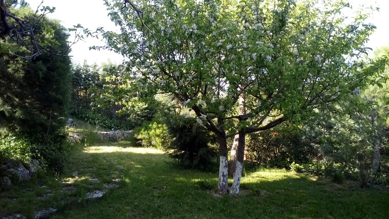 Casa o xalet en venda a Albalate de Zorita