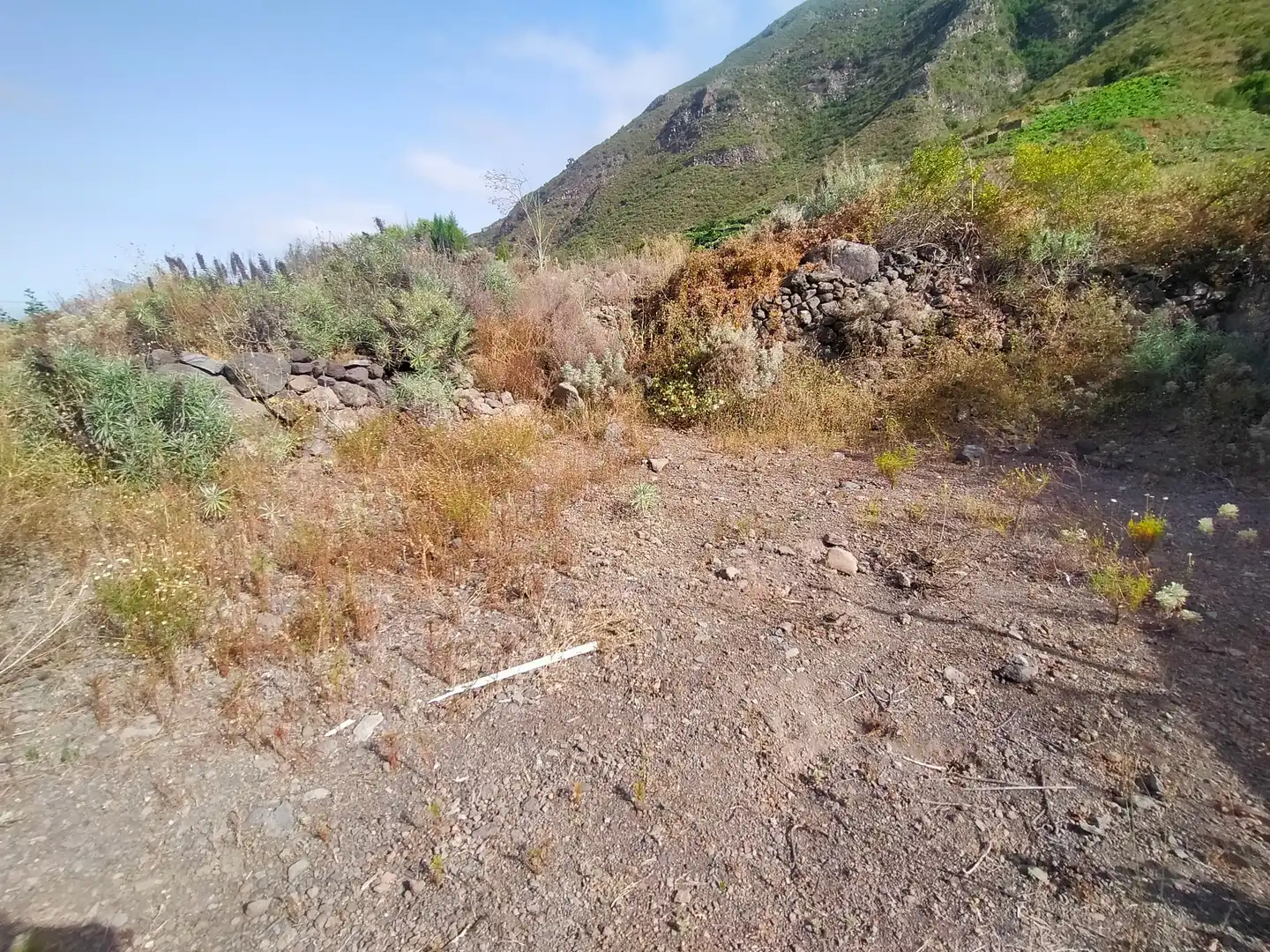 Terreno en venta en Güímar