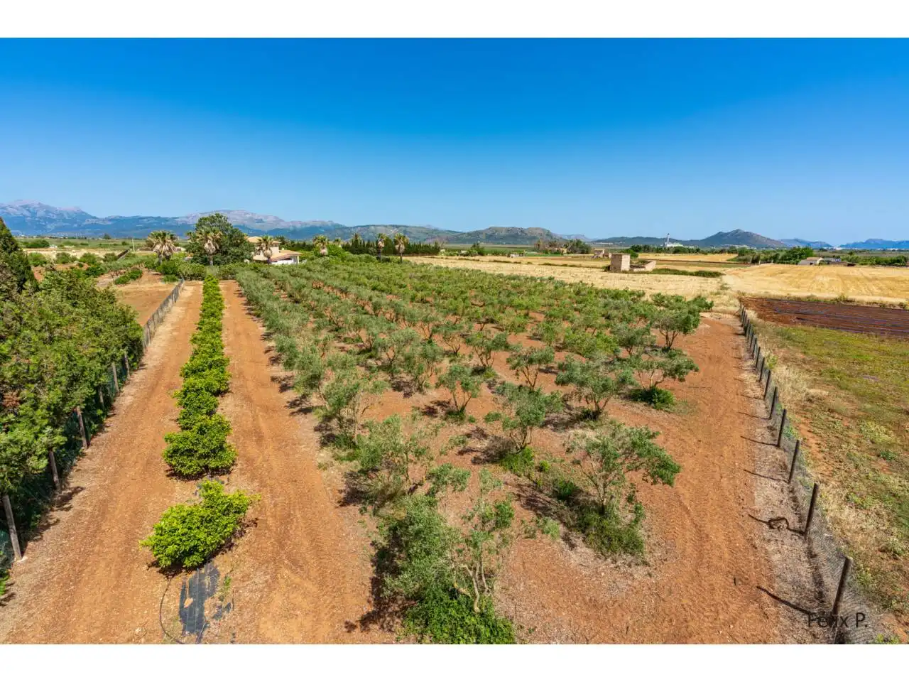 Finca rústica en venda en Muro amb Aire condicionat, Jardí privat i Terrassa
