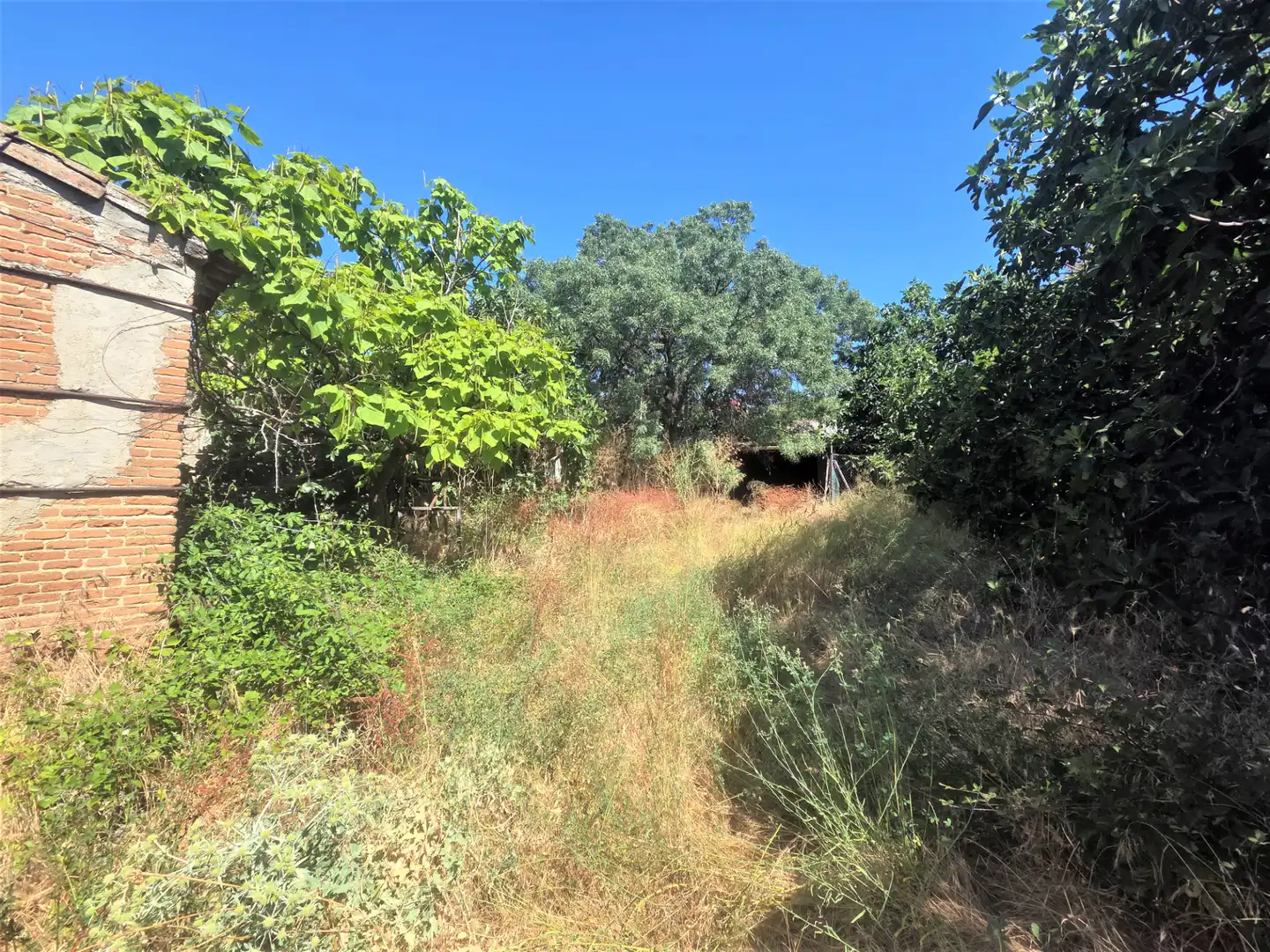 Wohnbaugrundstück zum Verkauf in Valdemorillo pueblo, imagen 9