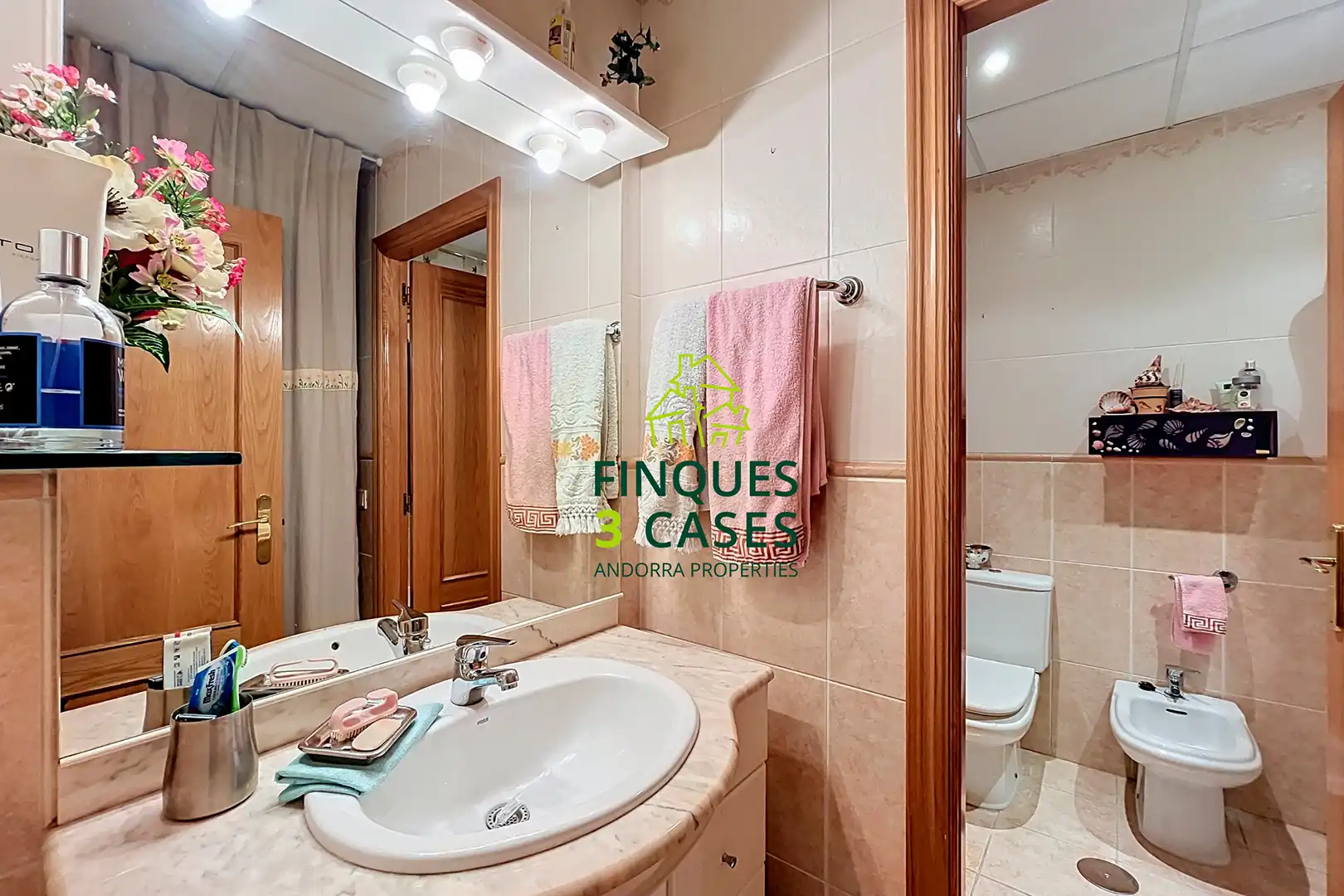 Flat with lift to rent in Carretera dels Cortals d'Encamp, imagen 22