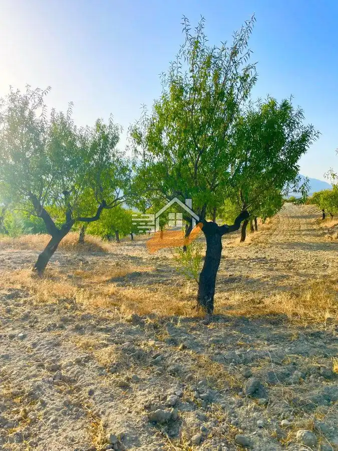 Country house for sale in Vélez-Rubio, imagen 11