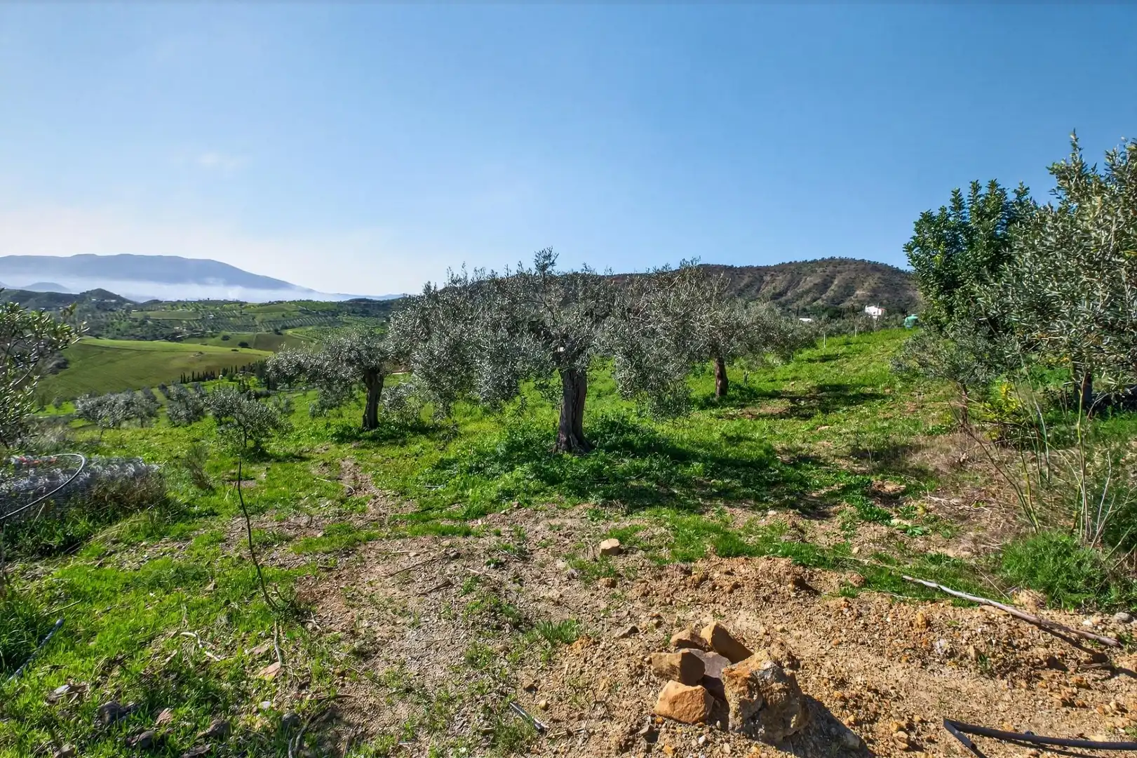 Residencial en venta en Cártama