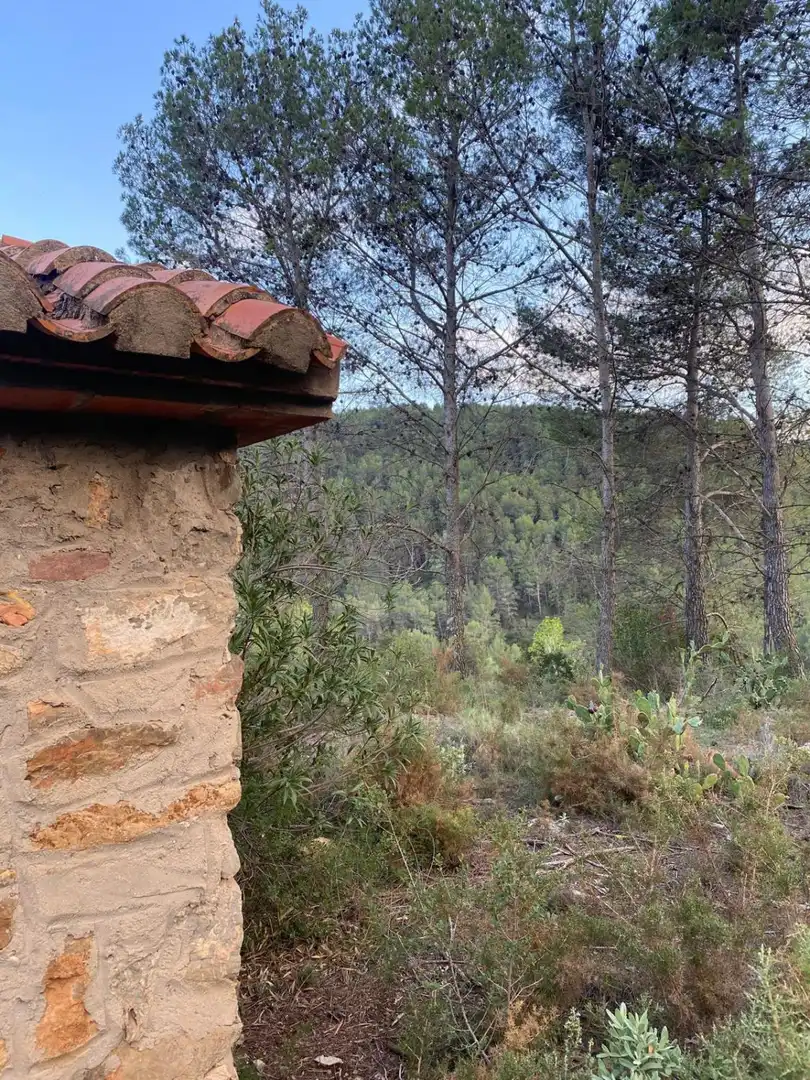 Jardí de Finca rústica en venda en Alcudia de Veo amb Terrassa