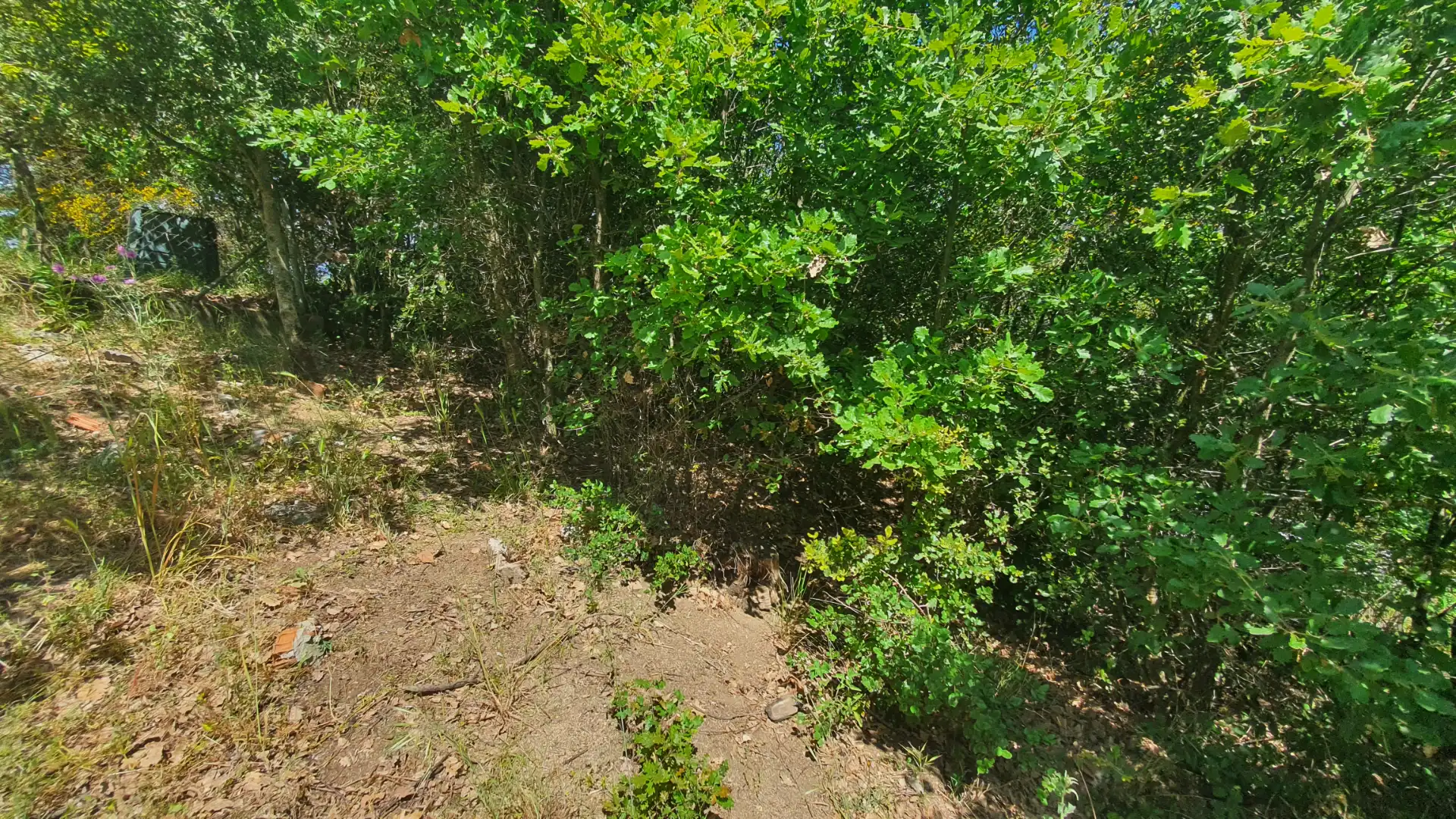 Terreno residencial en venta en Carrer Fredolic 118, imagen 13