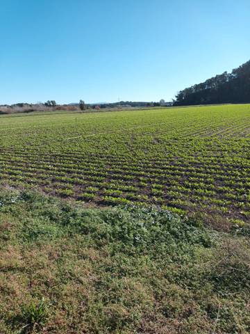 Terreno en Venta en Ctra Jerez - Ctra del Puerto