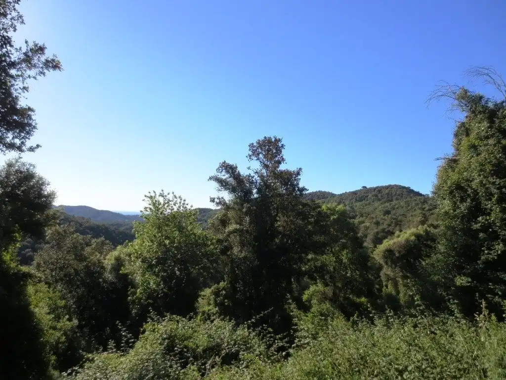 Maison rustique à vendre à Camino de Ca l'Esteve Burgada, imagen 7