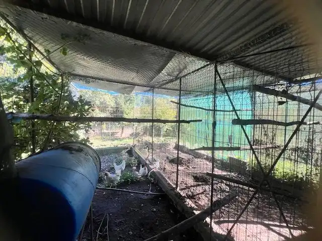 Jardí de Casa o xalet en venda en Friol amb Jardí privat, Terrassa i Moblat