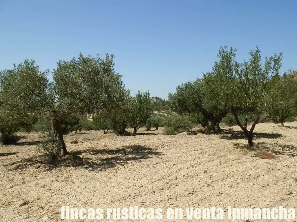 Terreny rústic en venda a Jijona / Xixona, imagen 16