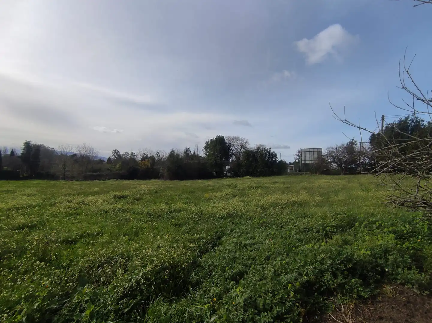 Terreni e lotti in vendita a Barganiza, La - Polígono 72 Parcela 150, imagen 10