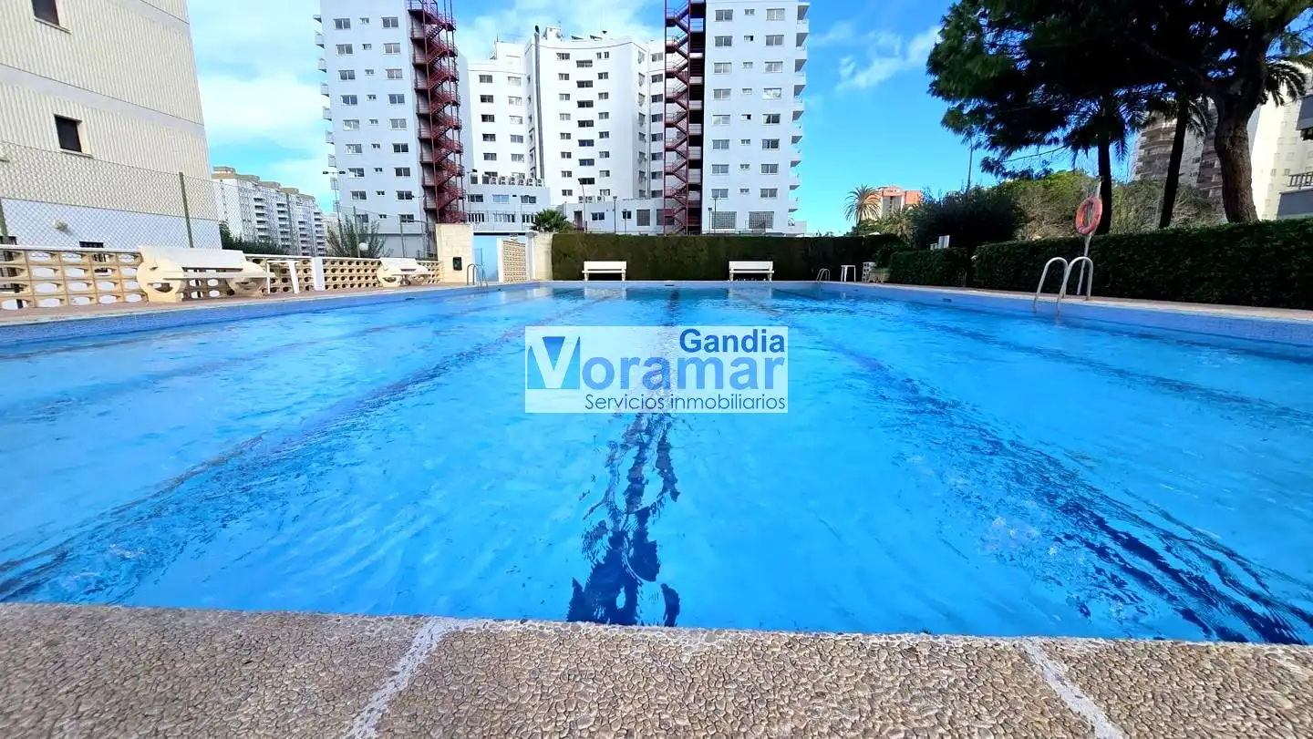 Piscina de Apartamento de alquiler en Gandia con Aire acondicionado, Calefacción y Piscina comunitaria