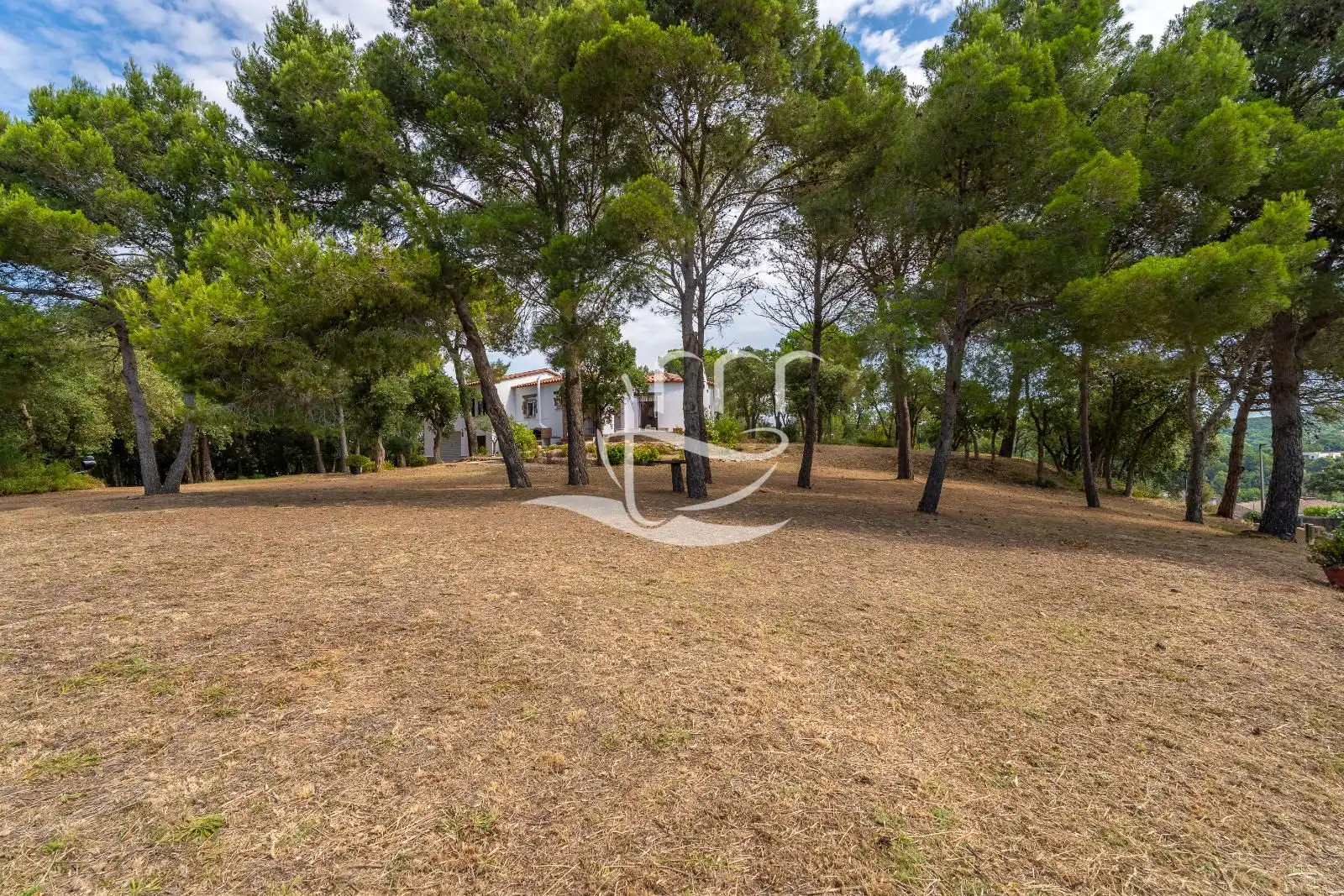 Villa in vendita a Carles Riba, imagen 2