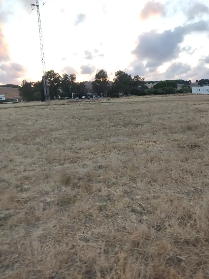 Land for sale in Vejer de la Frontera