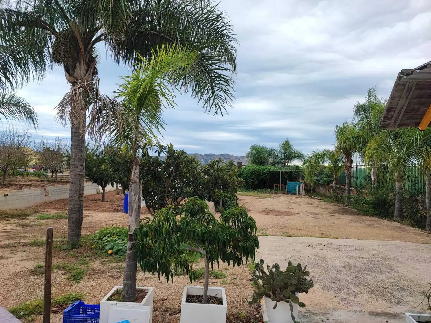 Lands and plots for sale in Sueca ciudad, imagen 2