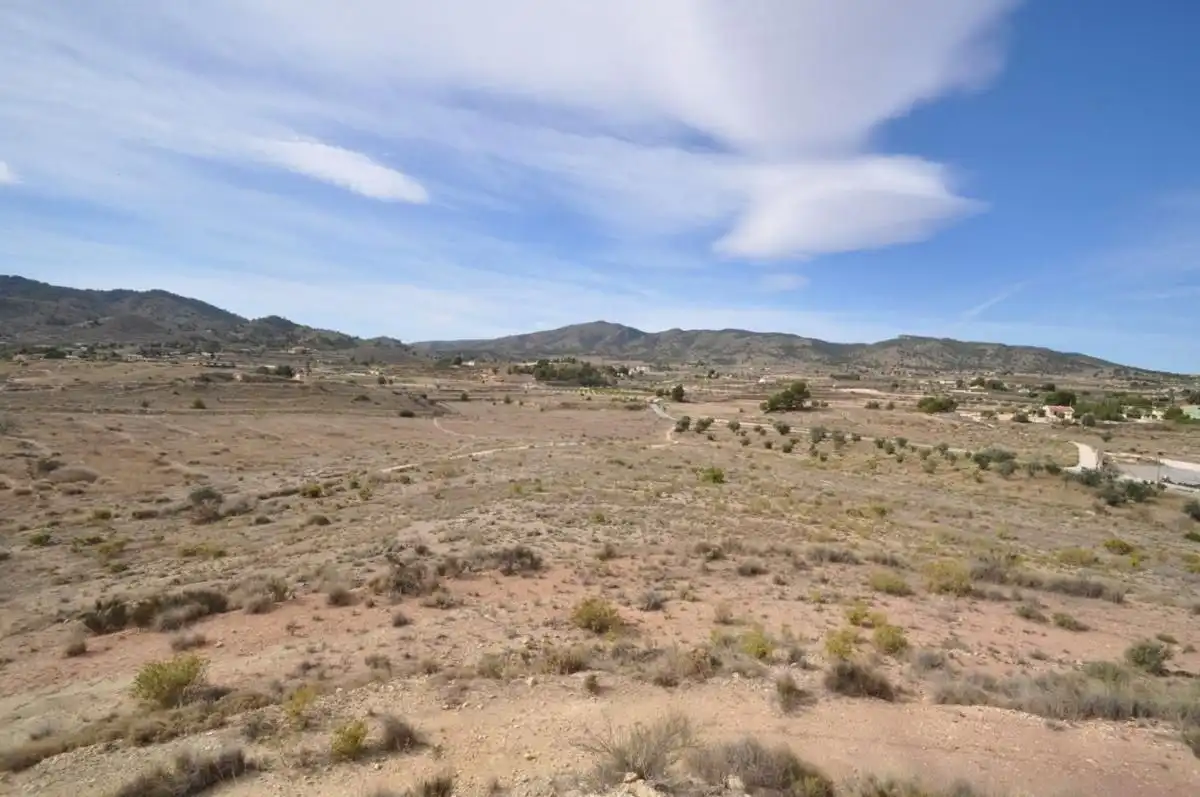 Detached house for sale in Monóvar  / Monòver, imagen 18