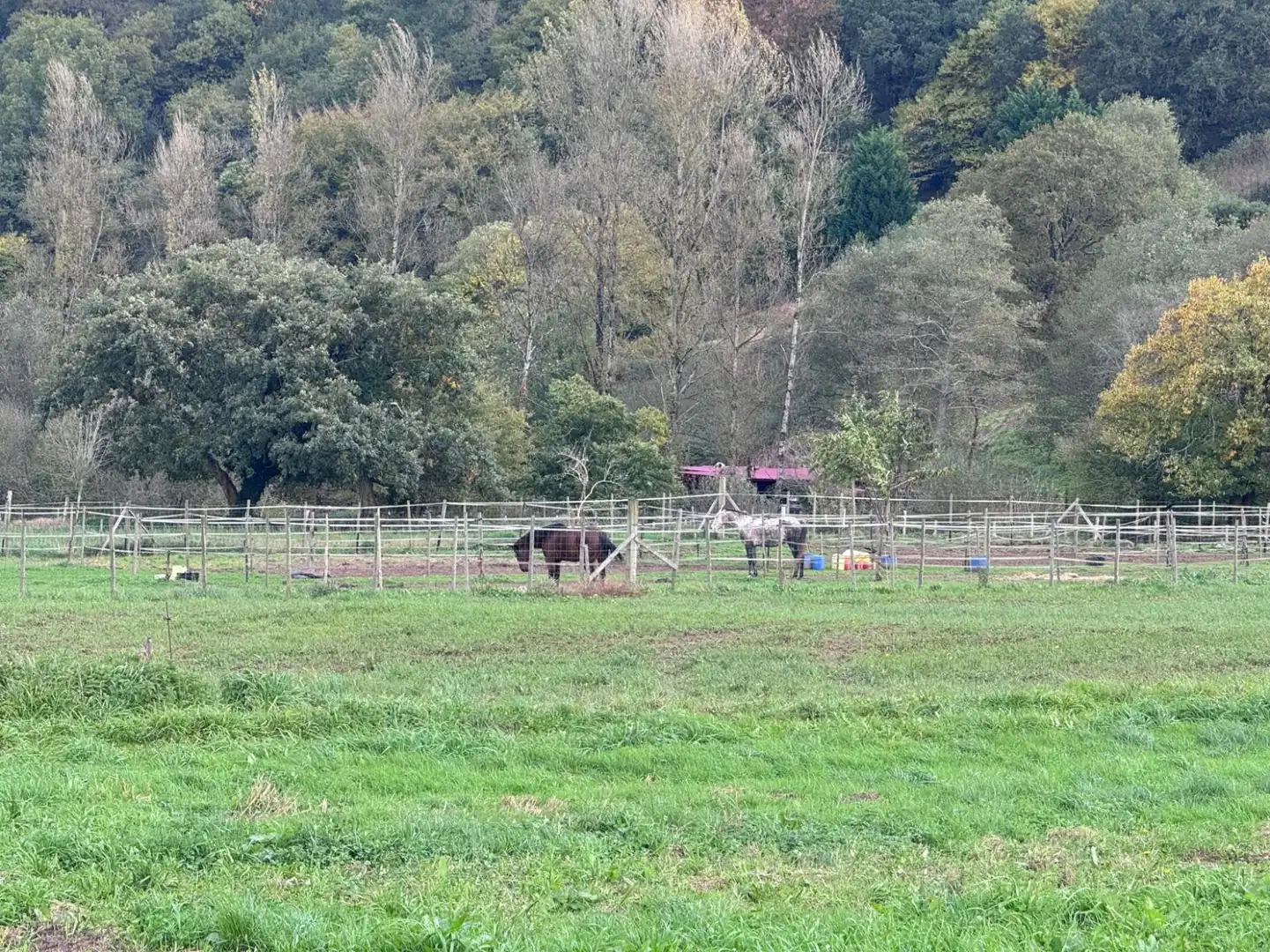 Rural land for sale in Ruente, imagen 4